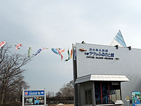 DSCN9455.JPG