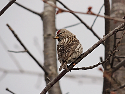 DSCN9476.JPG