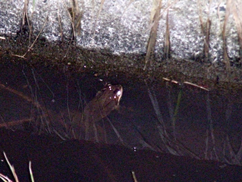 DSCN9479.JPG