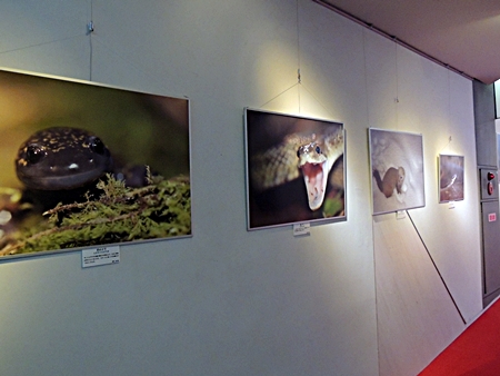 DSCN9481.JPG