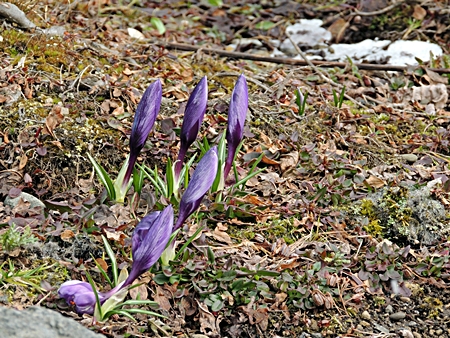 DSCN9490.JPG