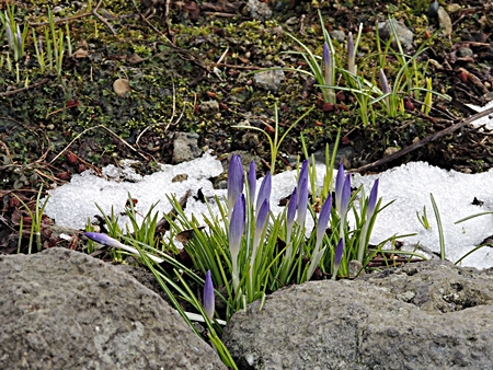 DSCN9491.JPG