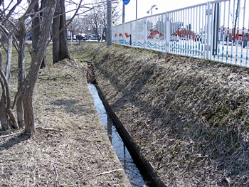DSCN9497.JPG