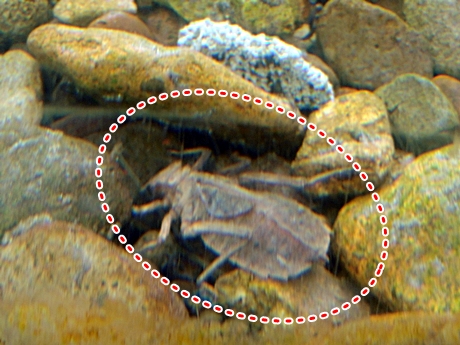 DSCN9602.JPG