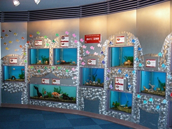DSCN9668.JPG