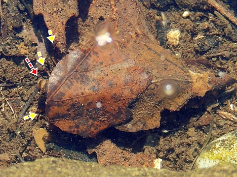 DSCN9729.JPG