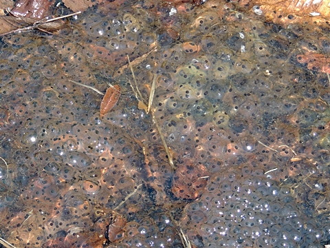 DSCN9741.JPG