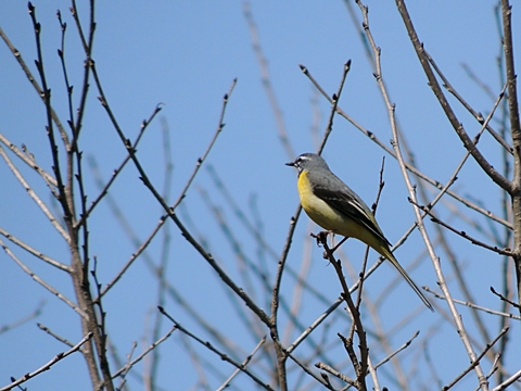 DSCN9742.JPG