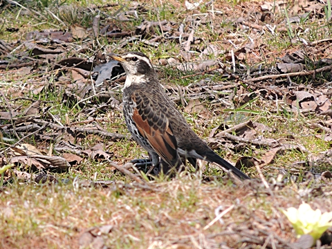 DSCN9751.JPG
