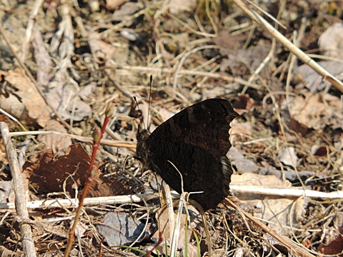 DSCN9827.JPG