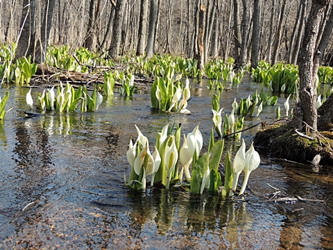 DSCN9857.JPG