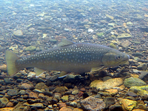DSCN9993.JPG