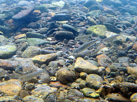 DSCN9995.JPG