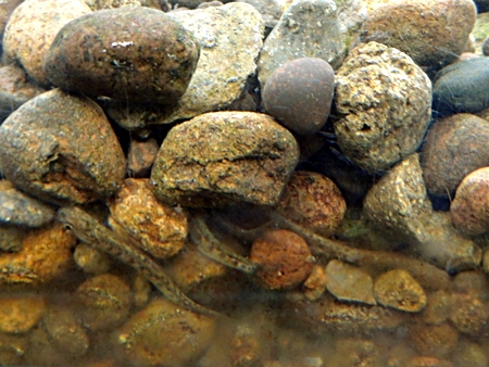 DSCN9997.JPG
