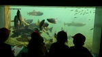 DSC_0265.jpg