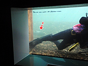 P1060006.JPG