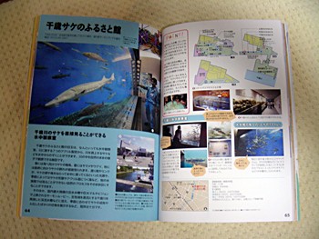DSCN4809.JPG