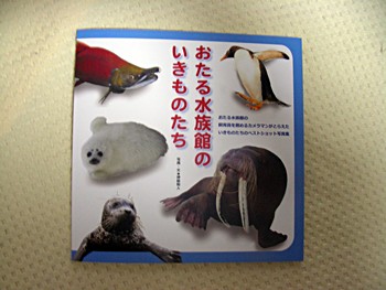 DSCN4811.JPG